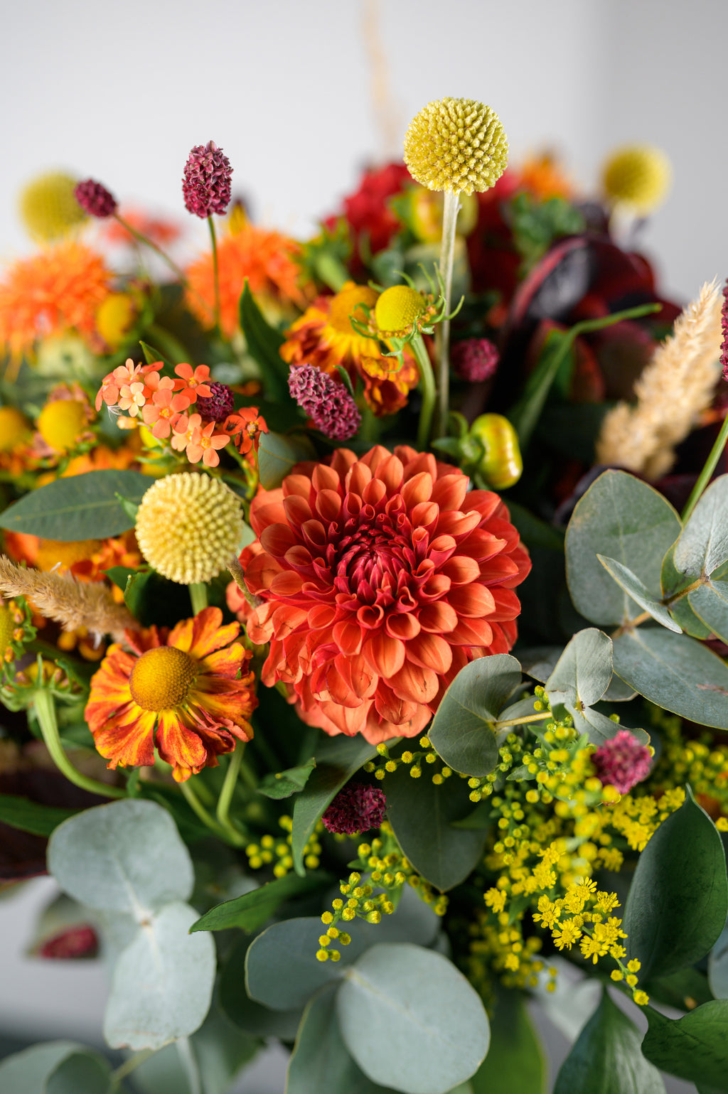 Florist's Choice