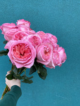 Lade das Bild in den Galerie-Viewer, Rosen
