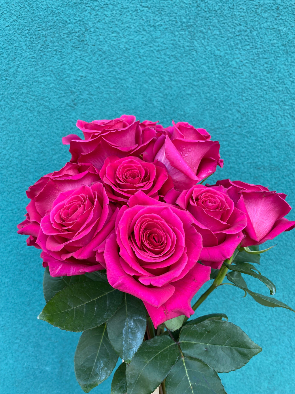 Rosen