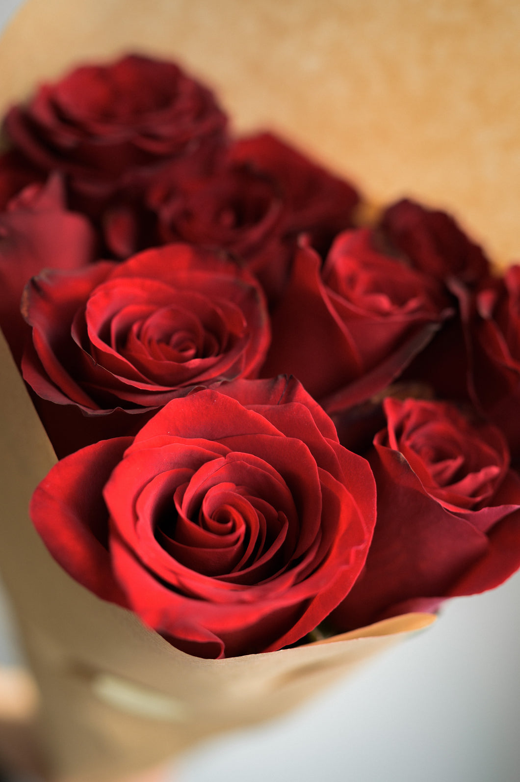 Rote Rosen